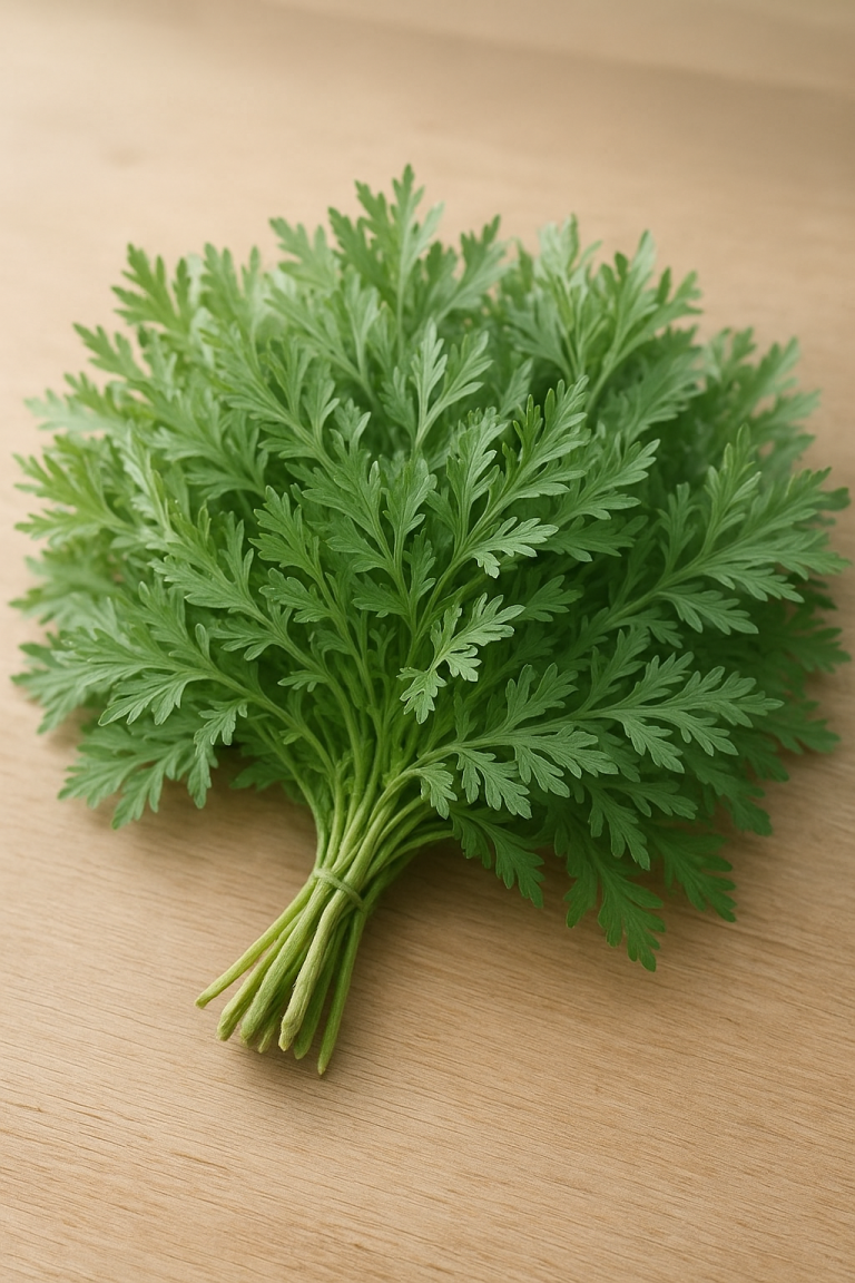 Image de couverture pour l’article "Les vertus de l’armoise : comment bien l’utiliser au quotidien"